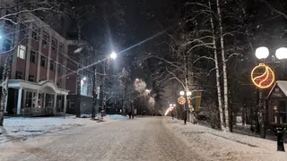 Снеговиков будете лепить из грязи и битого стекла: Вильфанд "отменил" зиму в РФ на Новый год