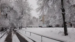 Погода в Челябинской области: гололед, снег и слабое потепление