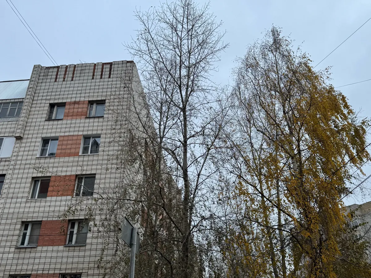 Синоптики прогнозируют сухую и умеренно теплую погоду в Челябинской области 21 сентября