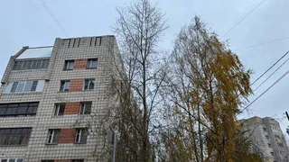 Синоптики прогнозируют сухую и умеренно теплую погоду в Челябинской области 21 сентября