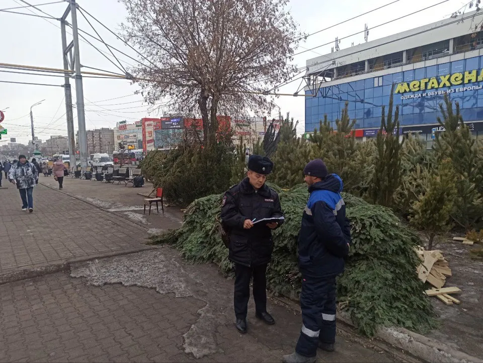 Более 600 елок изъяли в Магнитогорске: полицейские провели рейды по новогодним базарам