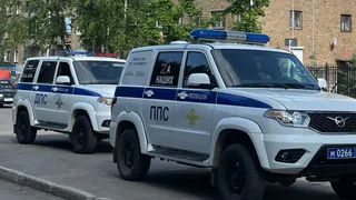 В Челябинской области ДТП на пешеходном переходе унесло жизнь ребенка 