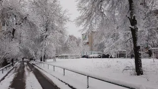 Самый холодный день недели в Магнитогорске: что ждать от погоды
