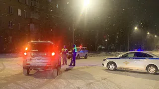 Полиция задержала в Челябинской области самокатчика с пистолетом