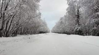 Аномально теплая погода на Южном Урале сменится резким похолоданием и снегопадами