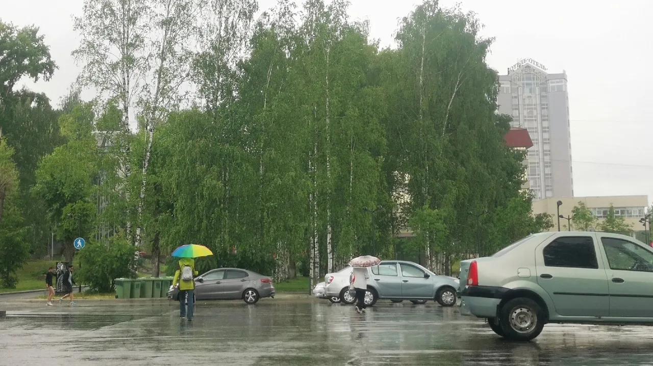 Похолодание до +6°C по утрам и дожди спрогнозировали синоптики в Челябинской области