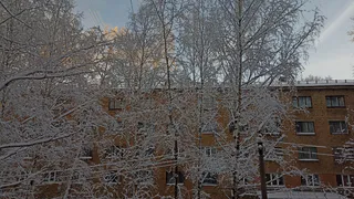 Регион затронет циклон "Вольфганг": прогноз погоды в Челябинской области на 30 ноября