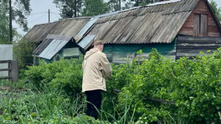 Срочно обрежьте малину до 16 сентября, удивитесь плодам в следующем году: полезные лайфхаки