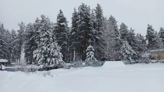 Антициклон обрушится на Челябинскую область: жителей региона ожидают ночные морозы до -31°C