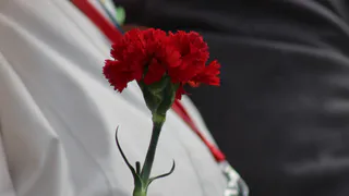 9 мая в Челябинской области продали больше цветов, чем 8 марта 