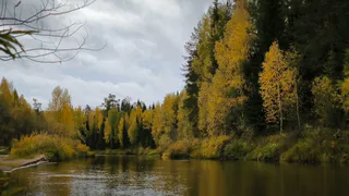 Астрологи предсказали долгую и счастливую жизнь 4 знакам Зодиака: проверьте, включены ли вы в список