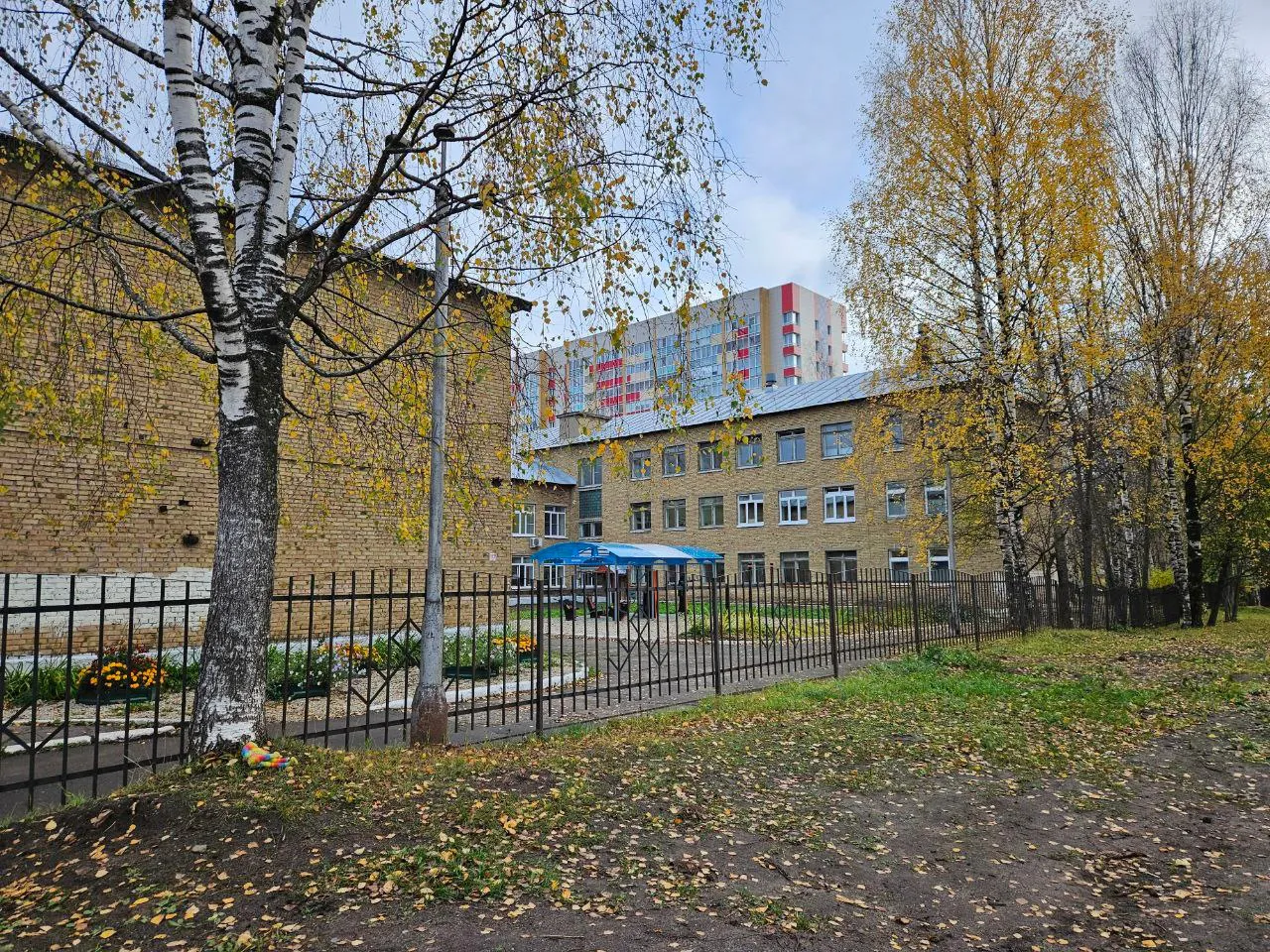 Челябинский депутат ГД РФ предложила сделать 1 сентября для родителей выходным