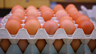 Как выбрать самые свежие и вкусные яйца для блюд на Новый год: советы экспертов Роскачества