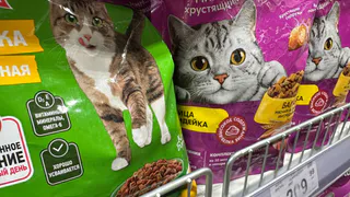 Действительно ли корма из бюджетного сегмента самые полезные? Разбираем исследование Роскачества без мифов