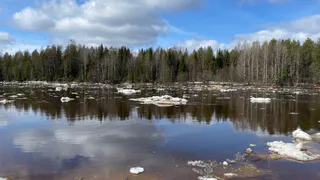 Выяснилось, сколько всего памятников археологии находятся на Южном Урале