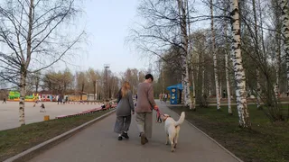 Переменчивая погода: в Челябинской области ожидаются осеннее тепло и дожди