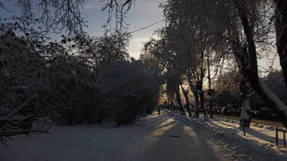 Челябинскую область ждет очередная морозная ночь