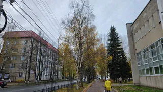 Бабье лето заглянет на прощанье: синоптики назвали точные даты последних тёплых дней