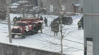 В Челябинске пожарные спасли детей от падения с четвертого этажа