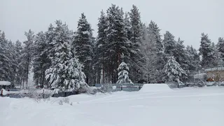 Челябинскую область ждут резкие перепады температур: ночные морозы до -25°С и дневные оттепели