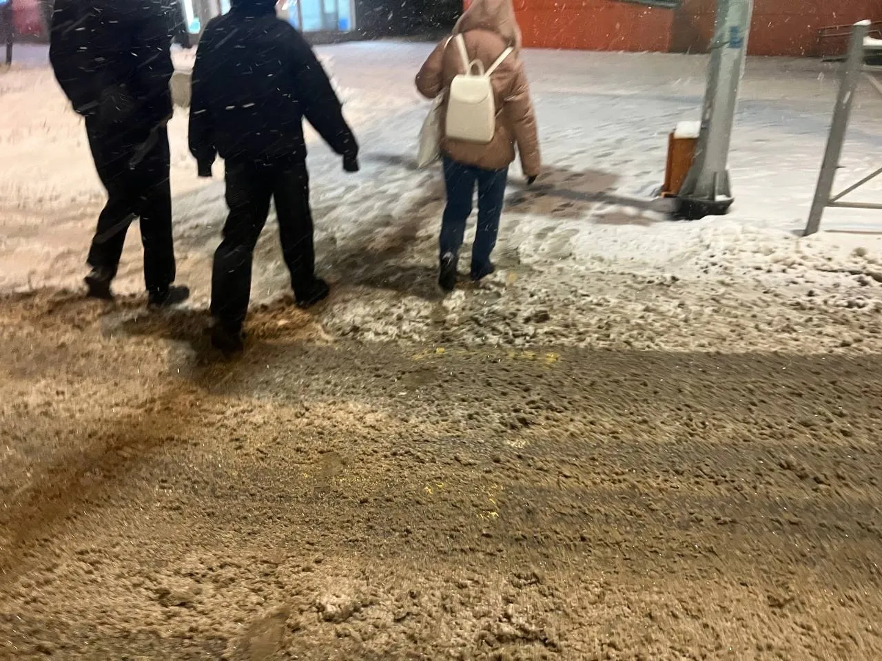 Выступающих против застройки территории экологического парка челябинцев едва не забрала полиция