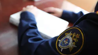 Следственный комитет взял на контроль дело об изъятом ребенке в Челябинской области